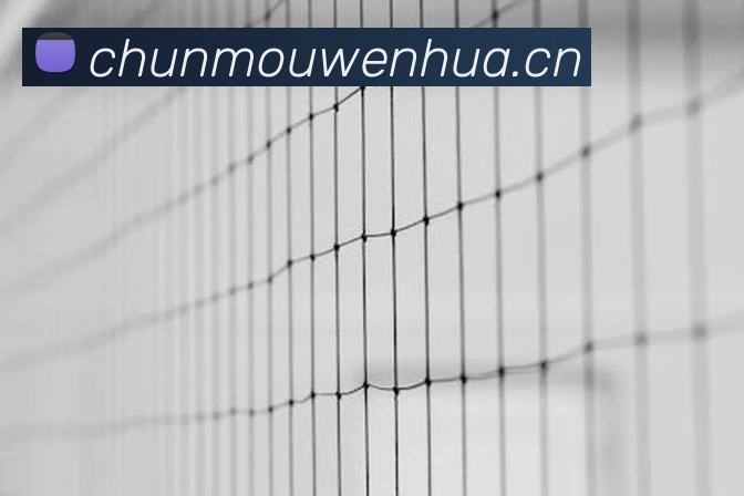 云开体育官方登录入口发展历程